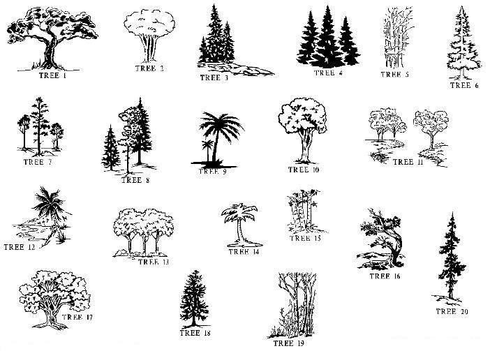 trees clipart. tree clipart images. clip art